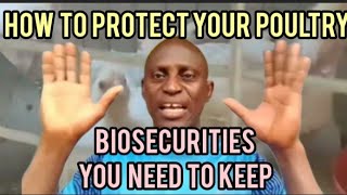 Most Farmers Ignore These! Top 10 Biosecurity Secrets to Stop Poultry Diseases & Save Your Flock"