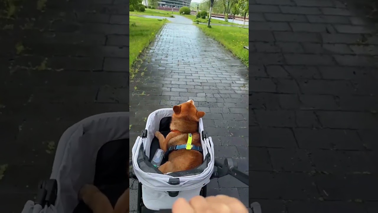 Dog's Daily Pets Life Lightweight Dog Stroller Uppapets Nero 