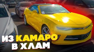 картинка: Аренда автомобилей Бизнес в сша с аукционов