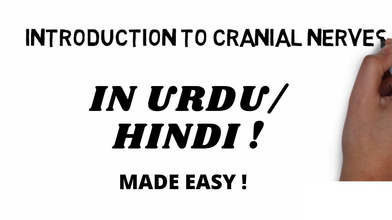 Introduction To Cranial Nerves Urdu Hindi Dental Studies YouTube