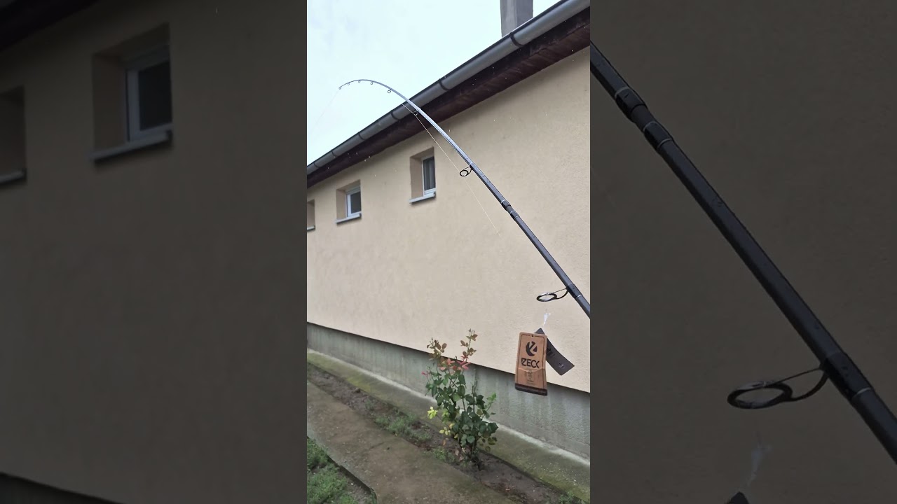 Zeck Zander Premium-Wumme 2.65 m 10-80 g