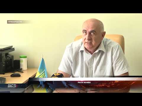 Ранні жнива 2022