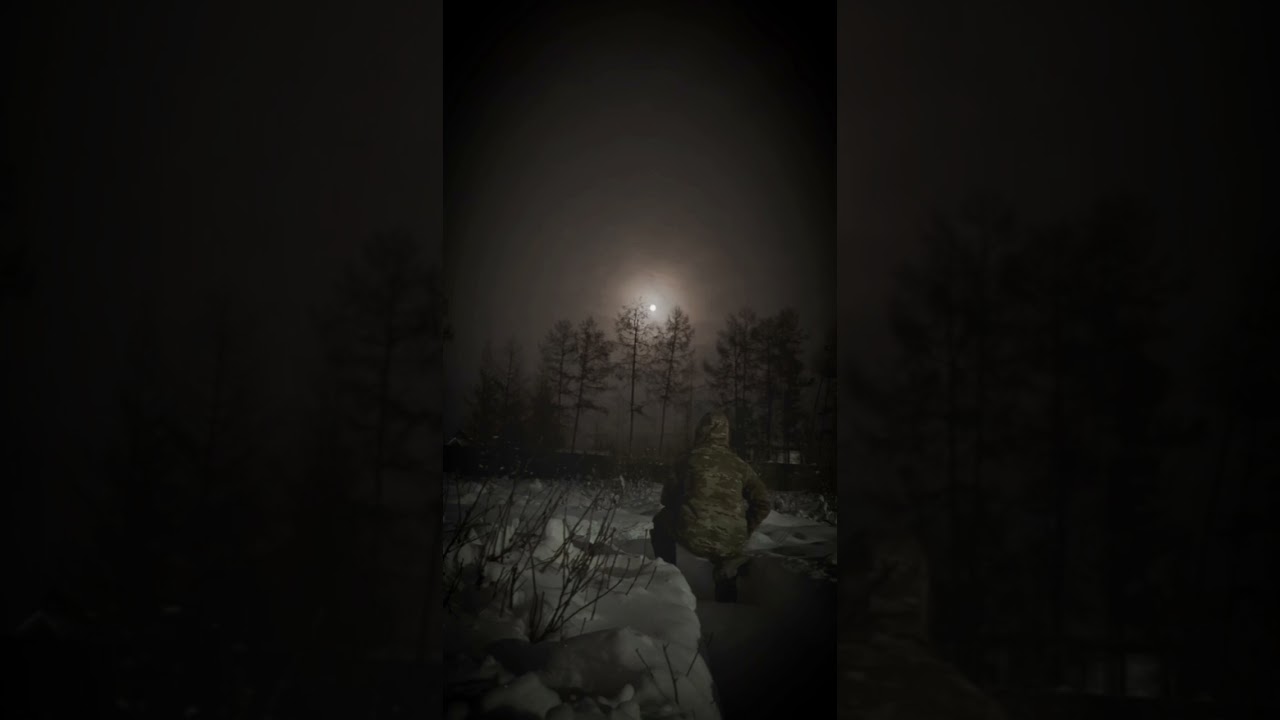 Специально ночью вышел из дома что бы услышать вой огромного ужасного  волка🐺весом 170кг. 