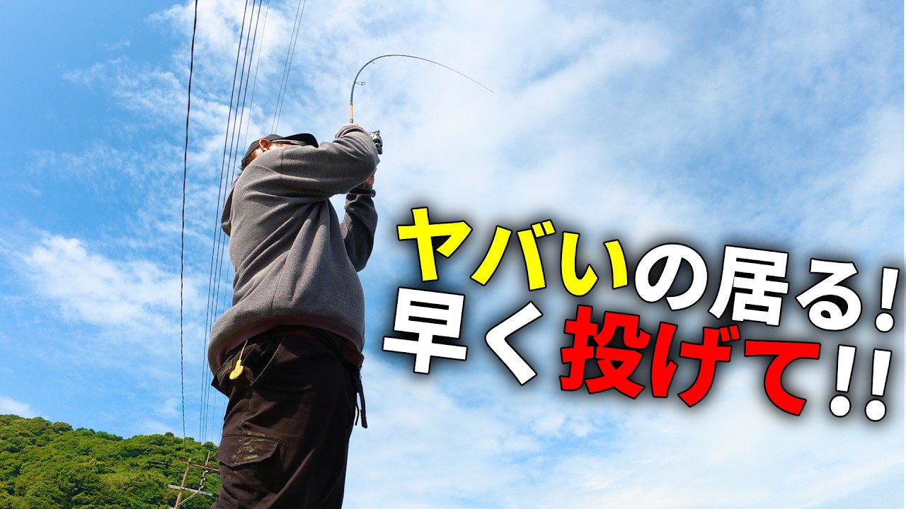 【春イカ】昼の釣れない堤防エギングが急に激変。ついには化け物サイズの姿が...。