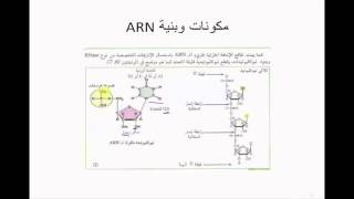 الدرس 05: مقر تركيب البروتين (مكونات وبنية ARN)