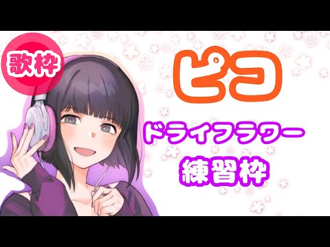 【ピコ】ドライフラワー歌う練習【歌枠切り抜き】