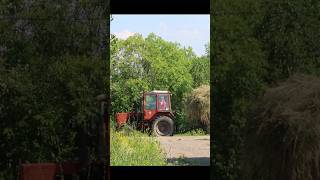 Село Кукобой. на границе Ярославской и Вологодской области #деревня #старина