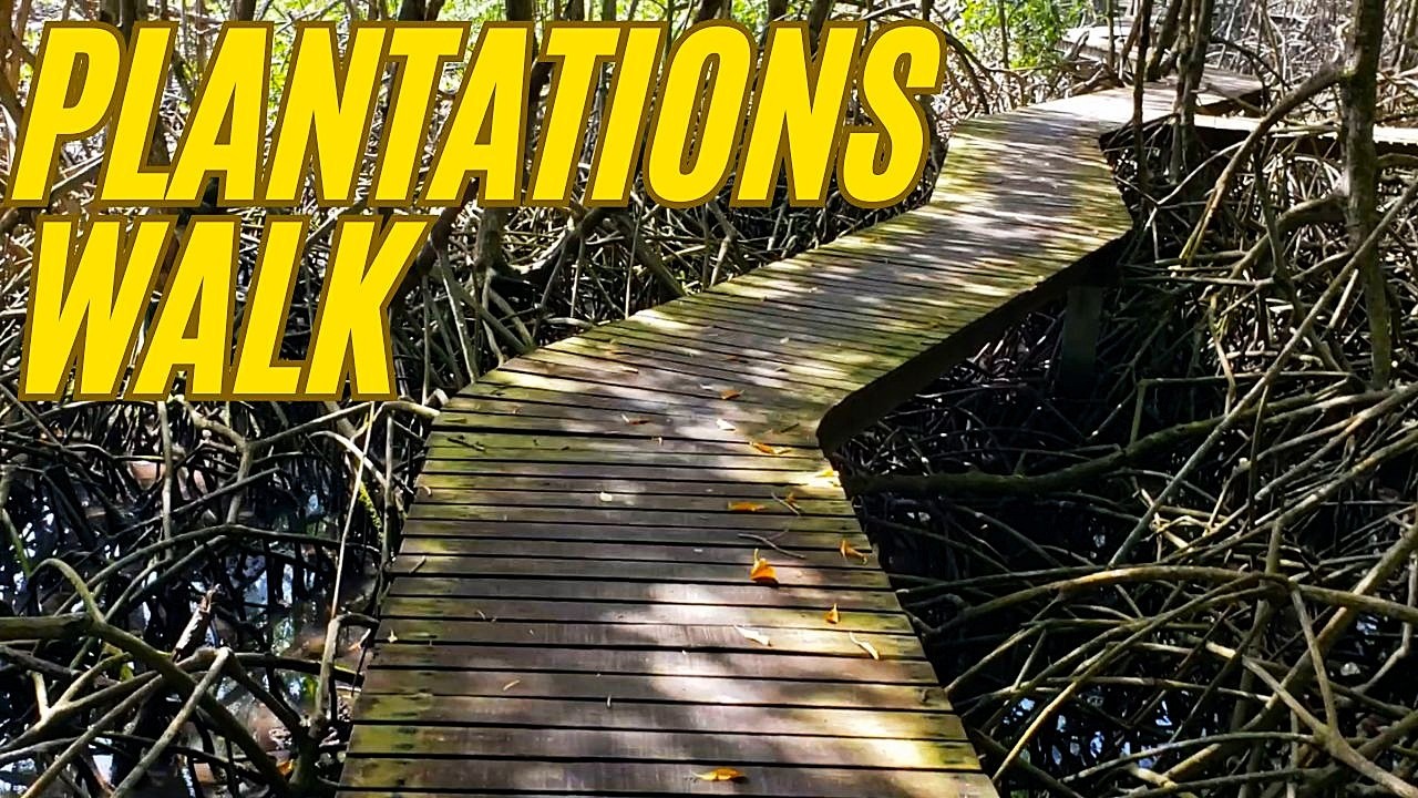 From Sugar Cane to Resort