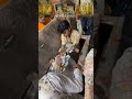श्री सांवरिया सेठ जी का खजाना😱 करोड़ों का चढ़ावा देखकर होश उड़ जाएंगे | Sanwaliya Seth Mandir #shyam