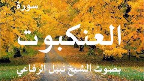 سورة العنكبوت بصوت الشيخ نبيل الرفاعي