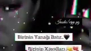 Birinin Xeyaları