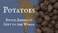 The Intriguing History of the Potato: From the Andes to the World ile ilgili video