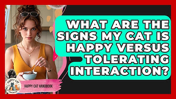 What Are The Signs My Cat Is Happy Versus Tolerating Interaction? - Happy Cat Handbook