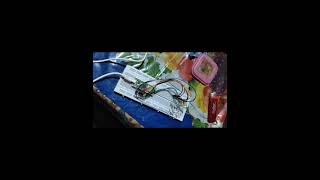 Easy 7 LED Blink Demo with raspberry pi pico w /micropythone/led/regestor #micropython #bmw