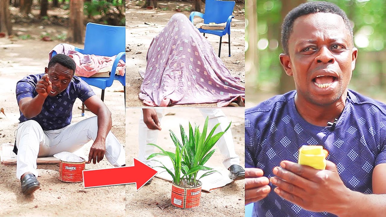 WONDERS:Akwadaa Nyame Miraculously Plants Palmnut To Germinate A Minute To Show Fâke Komfo Anokye