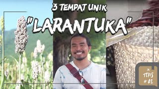 Jurnal Indonesia Kaya: 3 Tempat Unik Larantuka
