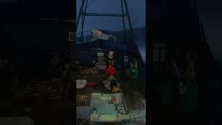 Les Héros Méconnus De La Mer Du Nord