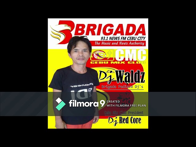 DJ WALDZ RETRO HITS EXCLUSIVE MIX 2020