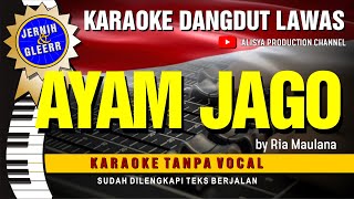 AYAM JAGO - Ria Maulana // Karaoke Dangdut original ( Vidio HD  Suara Jernih )