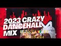 Guinea party mix  crazy dancehall 2023 vol 1 by dj 2b     alasko dj araphan gwada m junior b