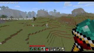 Famous Mob stacking experiments gone wrong, with horrible music. Net Worth