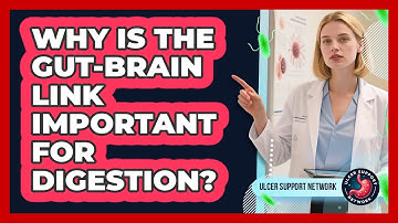 Why Is The Gut-Brain Link Important For Digestion?