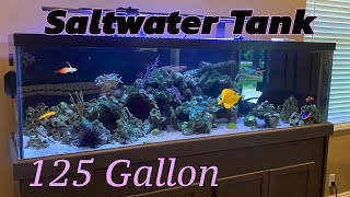 125g Reef Tank by Aquarium Service Tech 1,891 views 2 days ago 8 minutes, 28 seconds