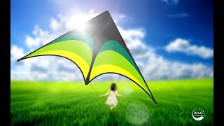 Mint's Colorful Life Classic Delta Kite Assembly Video!