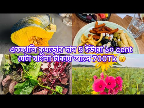 একফালি কুমড়োর দাম 5 ইউরো ১০ cent যেটা বাংলা টাকায় আসে 700Tk 😮 (Finland vlog)