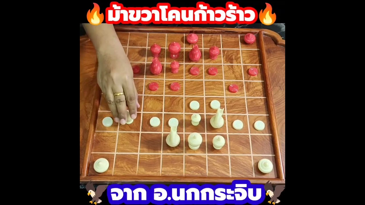 🔥4 ช็อตเด็ดโค่นเซียน🔥จากอาจารย์สุดยอดเซียน นกกระจิบ สุดยอดเซียนหมากบุก อันดับ 1 ของแผ่นดิน