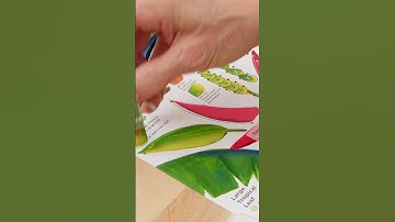 Learn to Paint Tropical Leaves with the FolkArt One Stroke Technique
