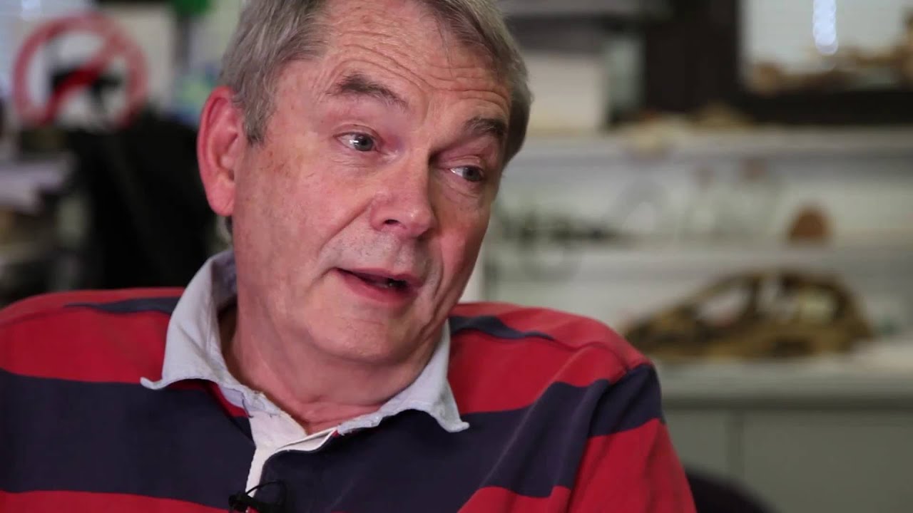 Reintroducing the Tasmanian Devil to Mainland Australia - A Science-Based Perspective