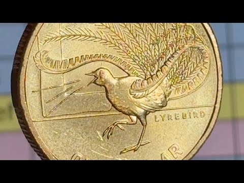 Something Special on this Australian One Dollar Coin
