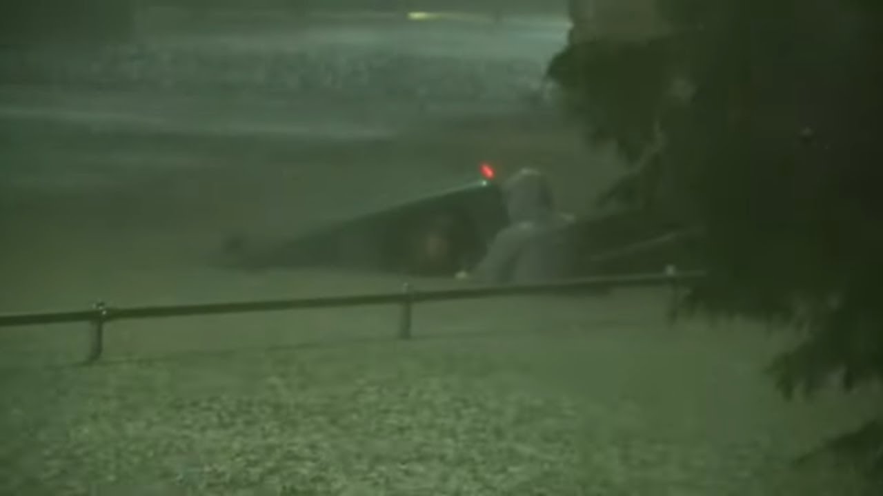 Good Samaritan rescues man from flooded truck during Hurricane Francine ...