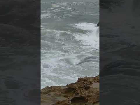 امواج بحر الرباط