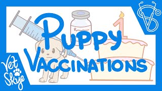 Everything you need to know about Puppy (and Adult Dog) Vaccination