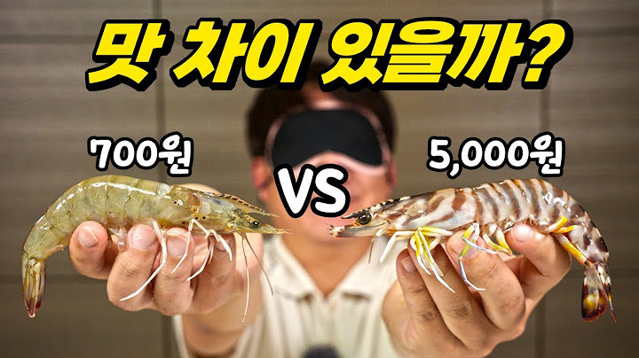 눈 가리고 흰다리새우 VS 보리새우 맛보기! 결과는 충격적이네요ㅠㅠ