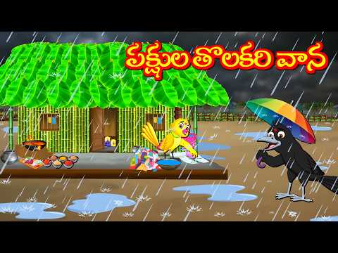 పక్షుల తొలకరి వాన Tuni Picchuka | Chicchu Kaki | Bujji | Lucy | Kuhu | Best Birds Stories