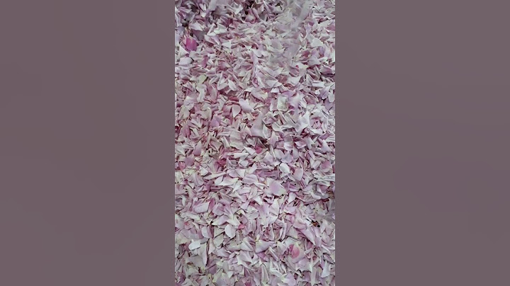 sizcə bu hansı gülün ləçəkləridi  😍❤🌹🌹🌹🌹🌹 #flowers #nature  #güller #rose #doğa