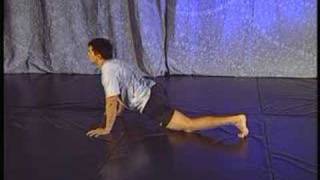 Frank Shamrock's Ultimate Home Workout