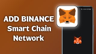How To Add Binance Smart Chain Network In MetaMask – Step-by-Step