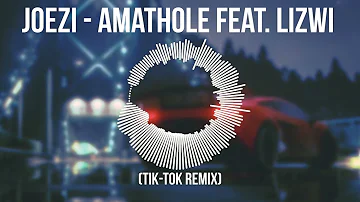 Joezi - Amathole feat  LIzwi (Tik Tok Remix)