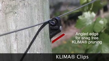 Klima Clips