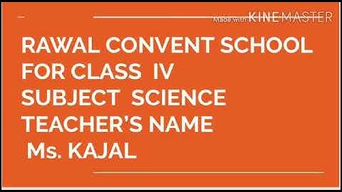 Class- III, Subject- Science, Topic-Parts of plant and their functions, RAWAL CONVENT SCHOOL