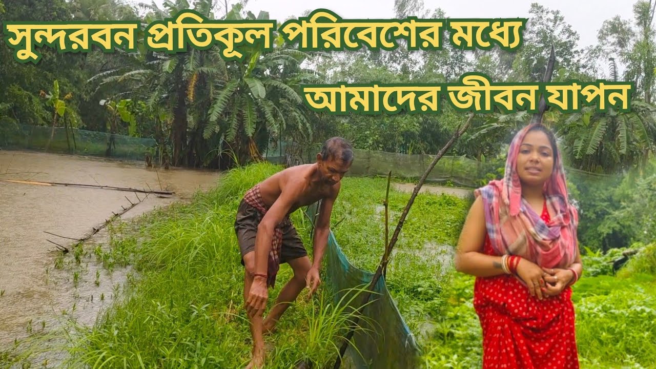 ১৫ থেকে ২০ দিন বৃষ্টি হওয়ার ফলে আমাদের অবস্থা । সুন্দরবনের শেষ প্রান্ত ।
