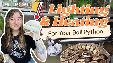 Ball Python Lighting & Heating Guide: Proper Setup, Temps & UVB