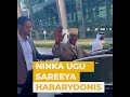 Degdeg ninka ugu sareeya beesha habaryoonis oo gadar ka dagey