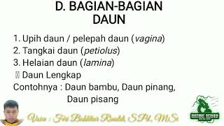 Struktur Daun (V4g1n4, Petiolus & Lamina)