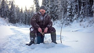 ЛОВИМ С БАТЕЙ КРУПНОГО ХАРИУСА / ПРОРЫВАЕМСЯ К ТАЕЖНОЙ РЕКЕ / СЛОМАЛИ НОВЫЙ БУКС