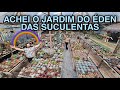 ENCONTRAMOS um JARDIM de SUCULENTAS RARAS no MEIO da CIDADE